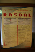 Everything about Rascal